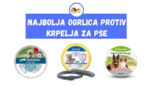 Najbolja ogrlica protiv krpelja za pse