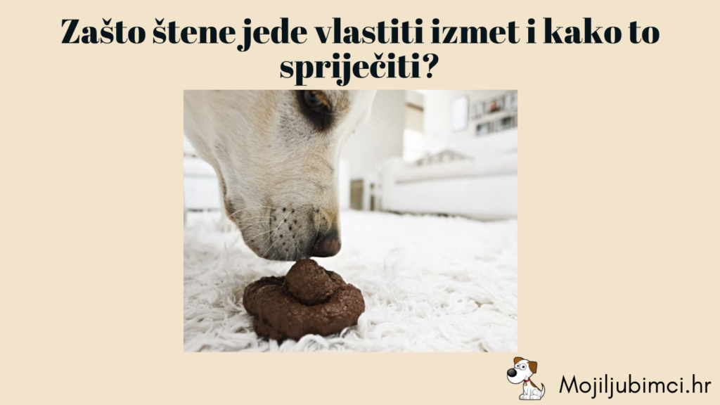 zašto štene jede svoj izmet