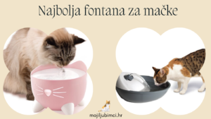 Najbolja fontana za mačke